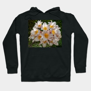 Beautiful White & Yellow Lily Flowers With Green Foliage Background Hoodie